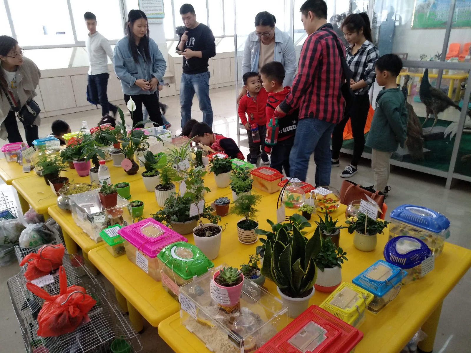 IMG_20180505_090418_看图王.jpg