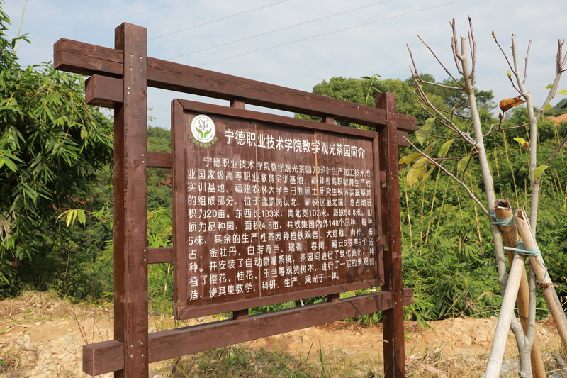 945A5138_调整大小.JPG