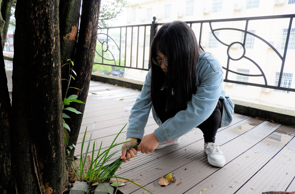 QQ截图20190327155433.png