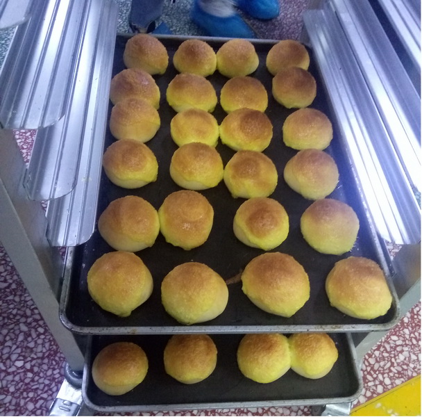 图25 我们在思味特食品有限公司参加学习2_调整大小.jpg
