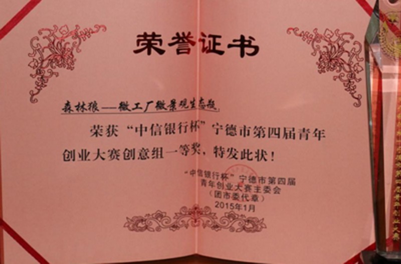 图29 学姐在“中信银行杯”宁德市第四届青年创业大赛创意组一等奖的证书_调整大小.jpg 图29 学姐在“中信银行杯”宁德市第四届青年创业大赛创意组一等奖的证书_调整大小.jpg