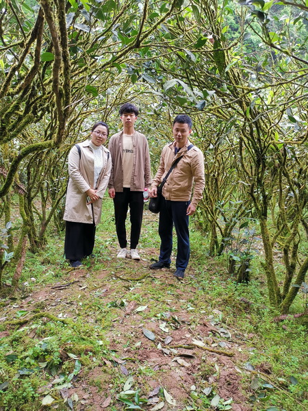 IMG_20190506_161933_调整大小.jpg IMG_20190506_161933_调整大小.jpg