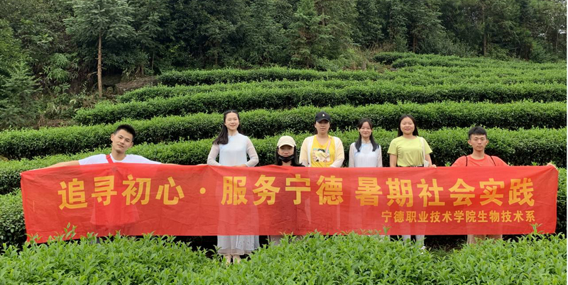 图片16_调整大小.png
