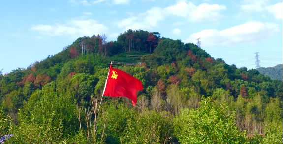 图片1.png 图片1.png