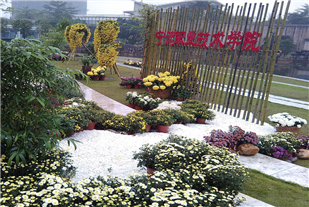 图片17.png 图片17.png
