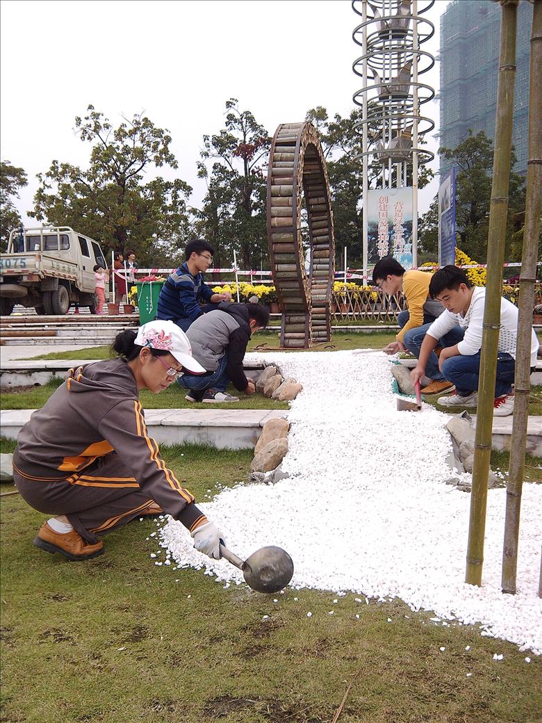 园林专业师生合作设计施工菊花展旱局花溪.JPG