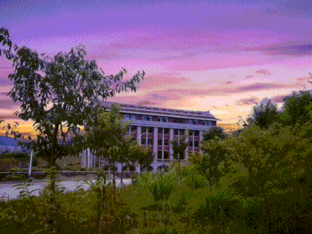 6.gif