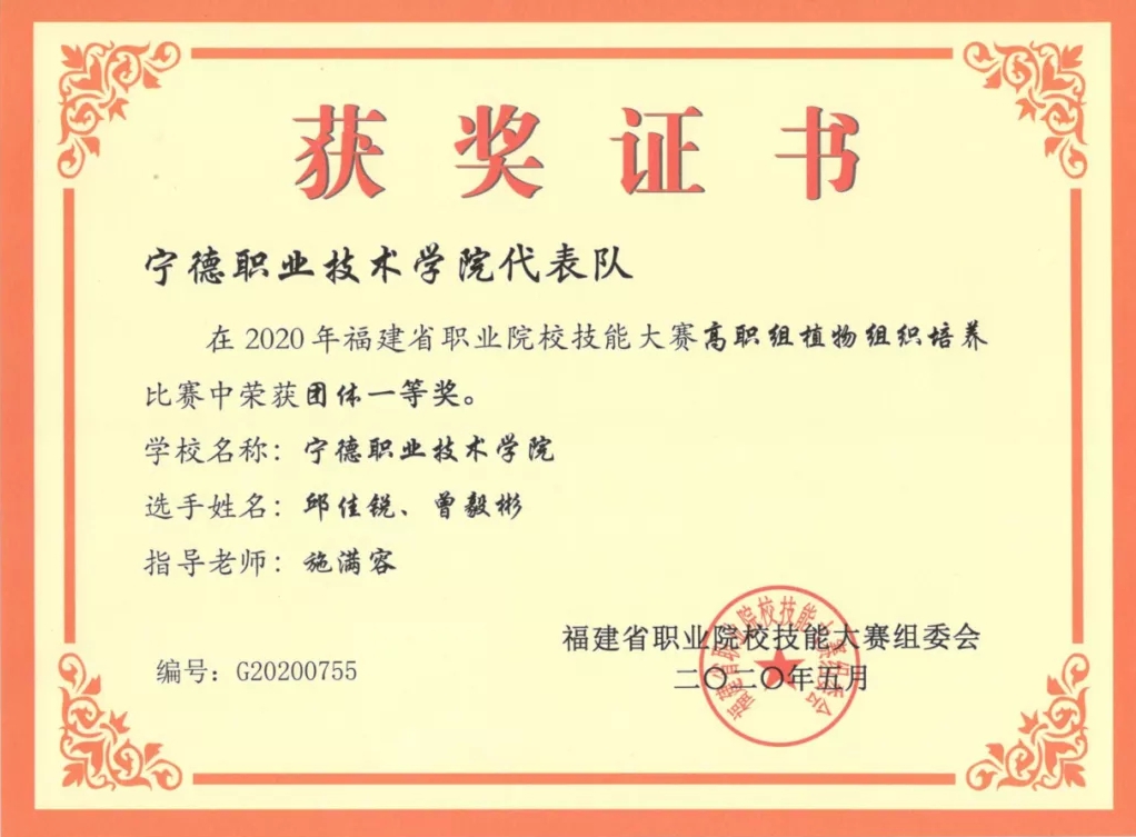 图片9.jpg