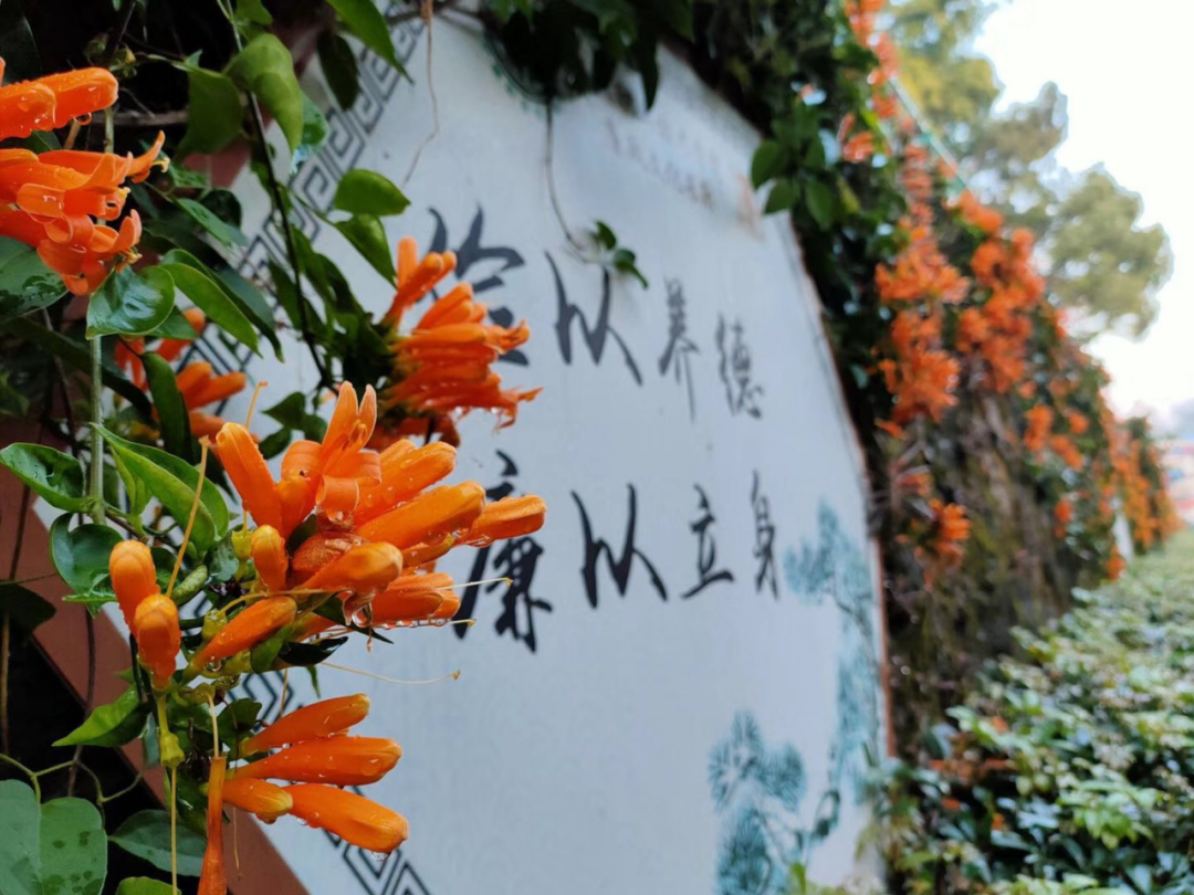 微信图片_20210509140553.png