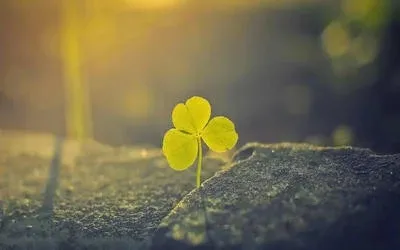 image002.png image002.png