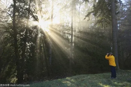 image003.png image003.png