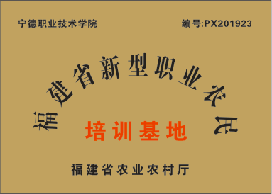 image005.png
