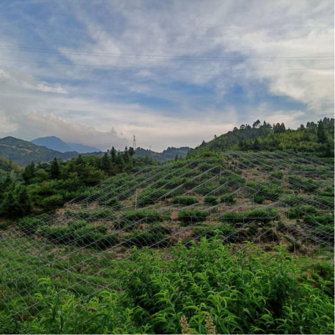 image007.png image007.png