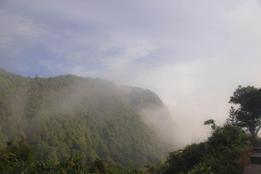 image001.png image001.png