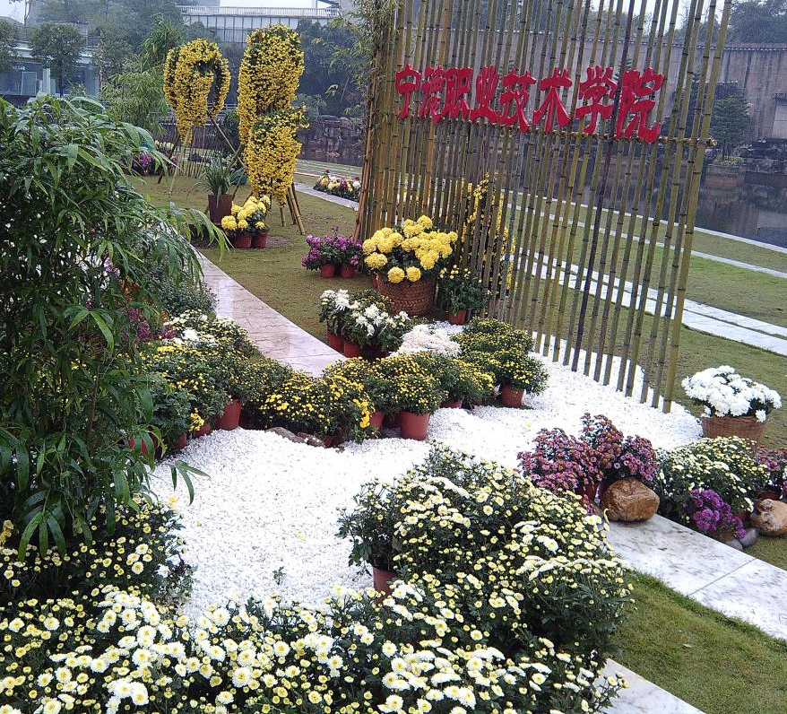 image020.png image020.png