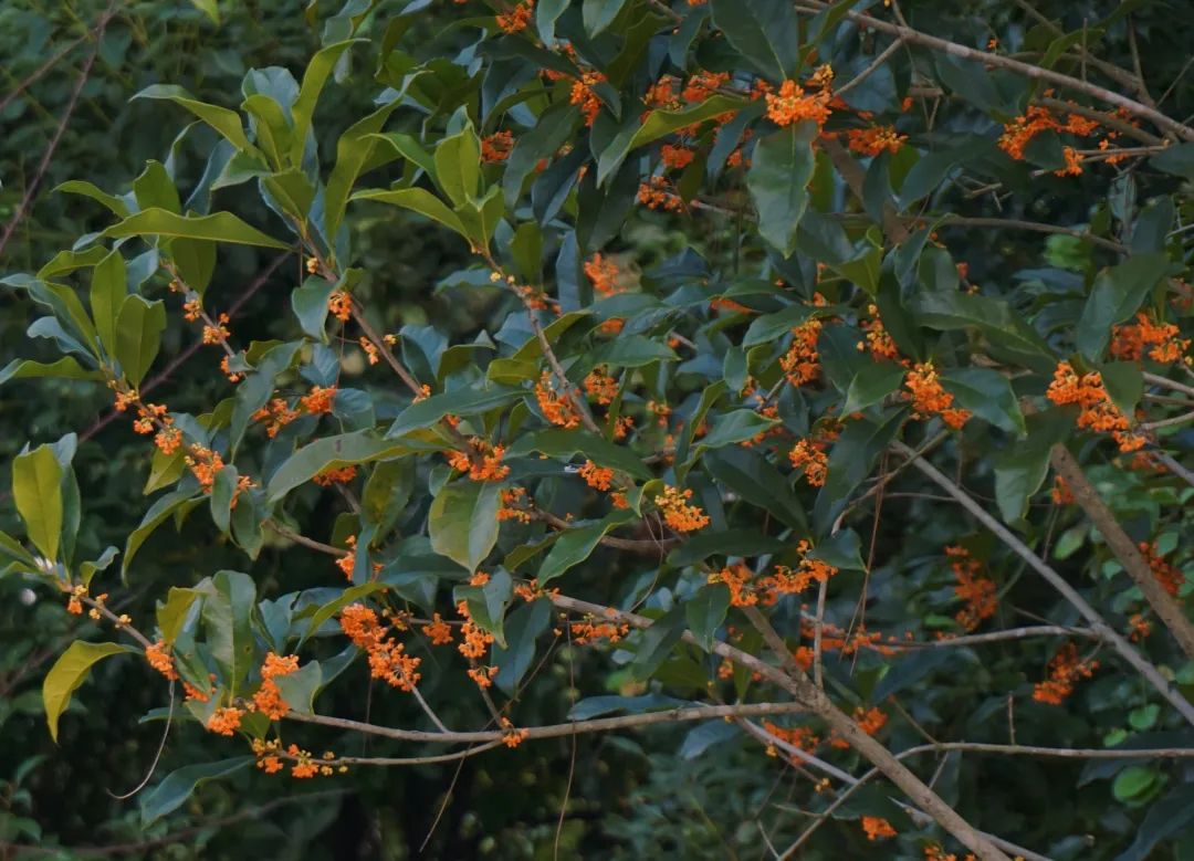 image020.jpg