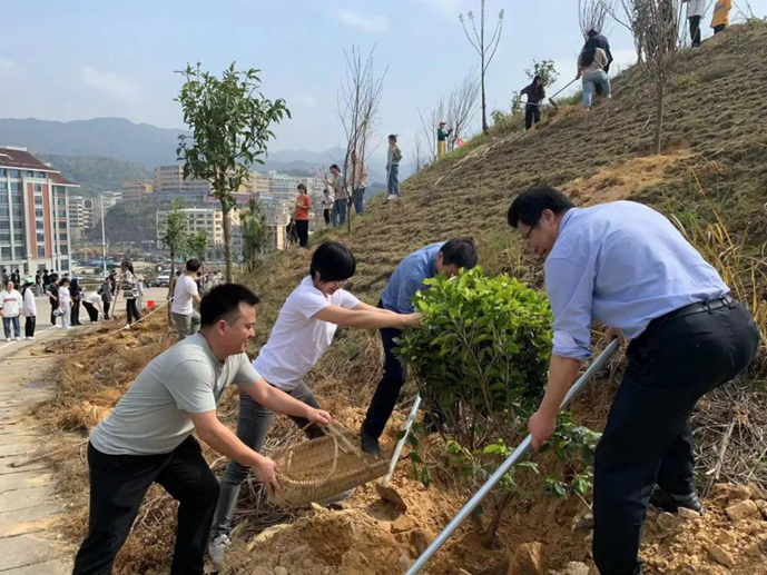 志愿宁职 三月春风暖人心，雷锋精神伴我行599.png