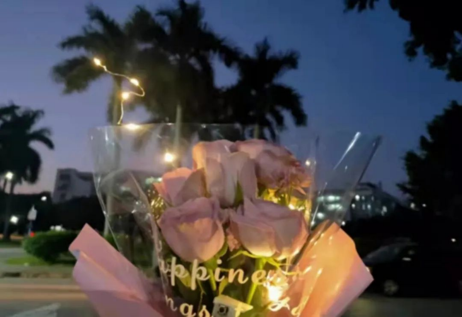 三月是一个春光明媚的季节607_副本.png