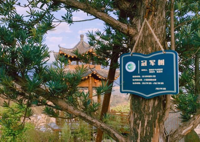 image013.png