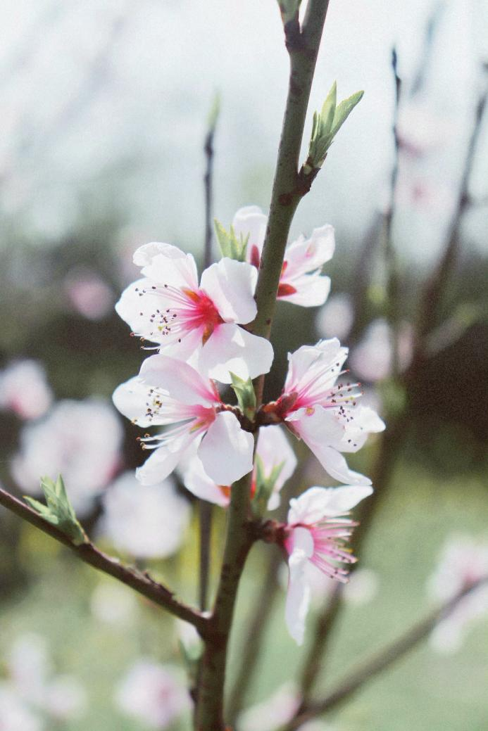 image028.png
