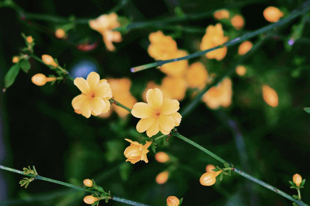 image029.png