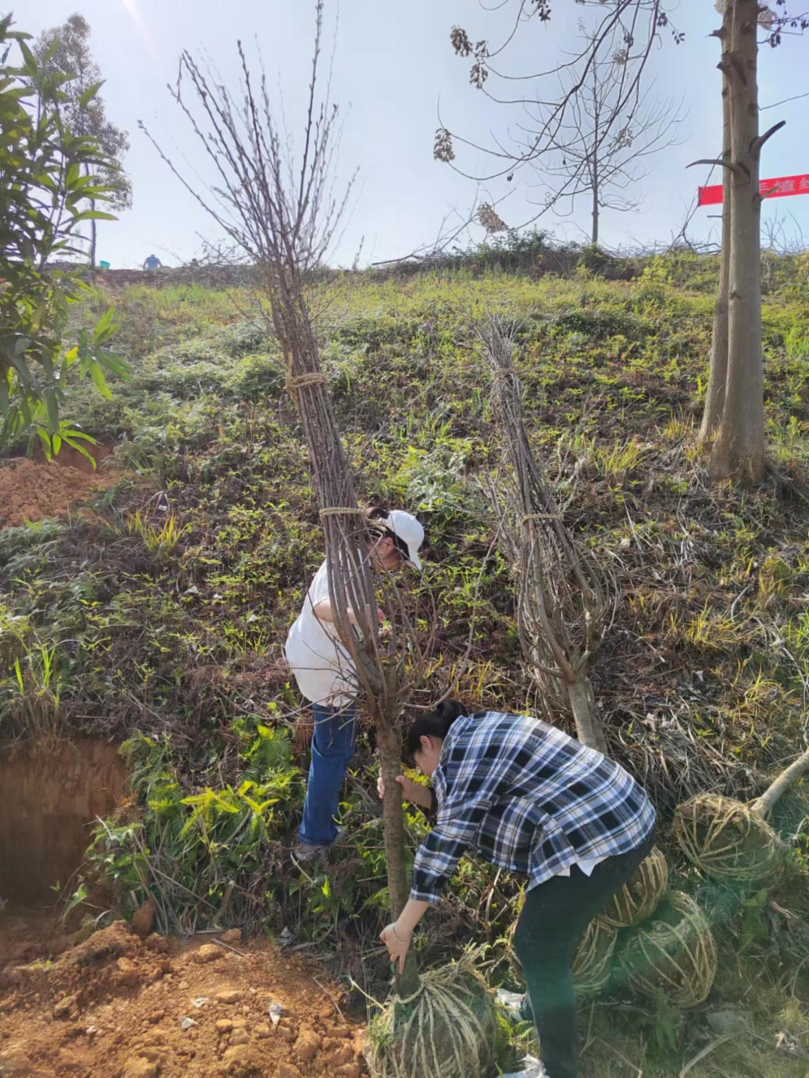 image035.png