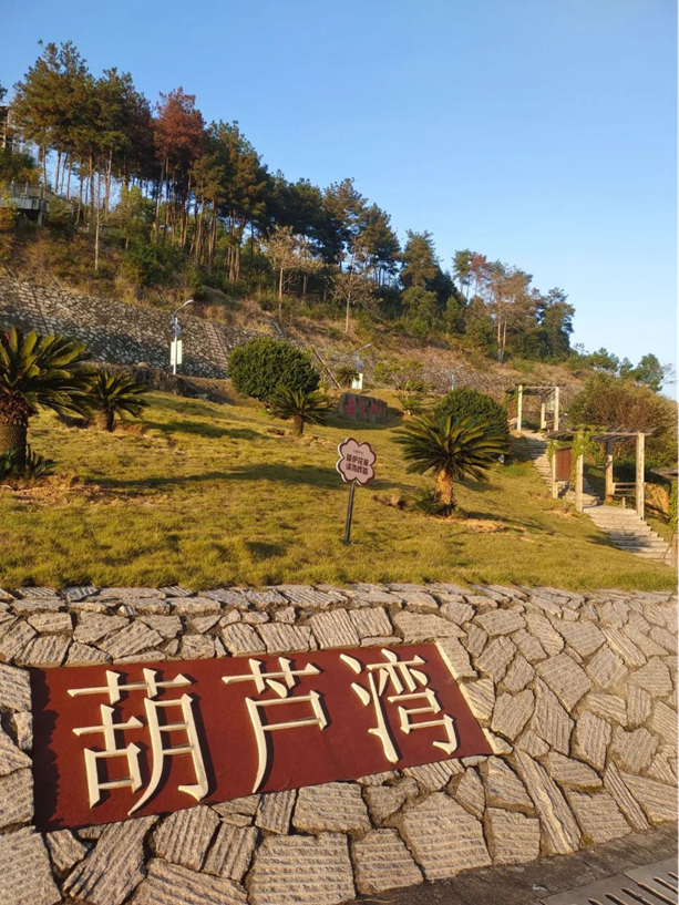 为深入学习贯彻习近平总书记关于职业教育的重要指示精神2774.png 为深入学习贯彻习近平总书记关于职业教育的重要指示精神2774.png