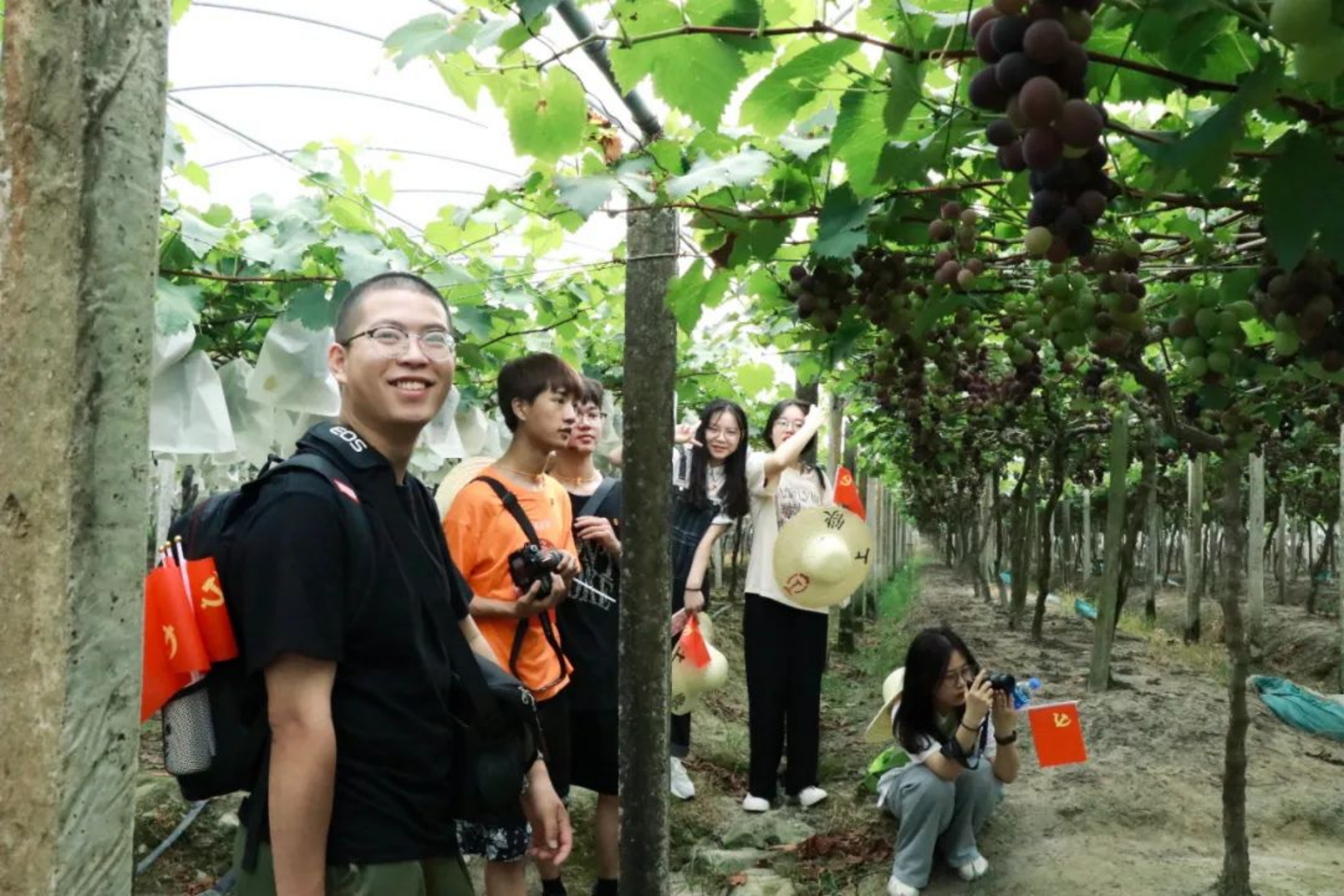 由教育部职业教育与成人教育司900_副本.png