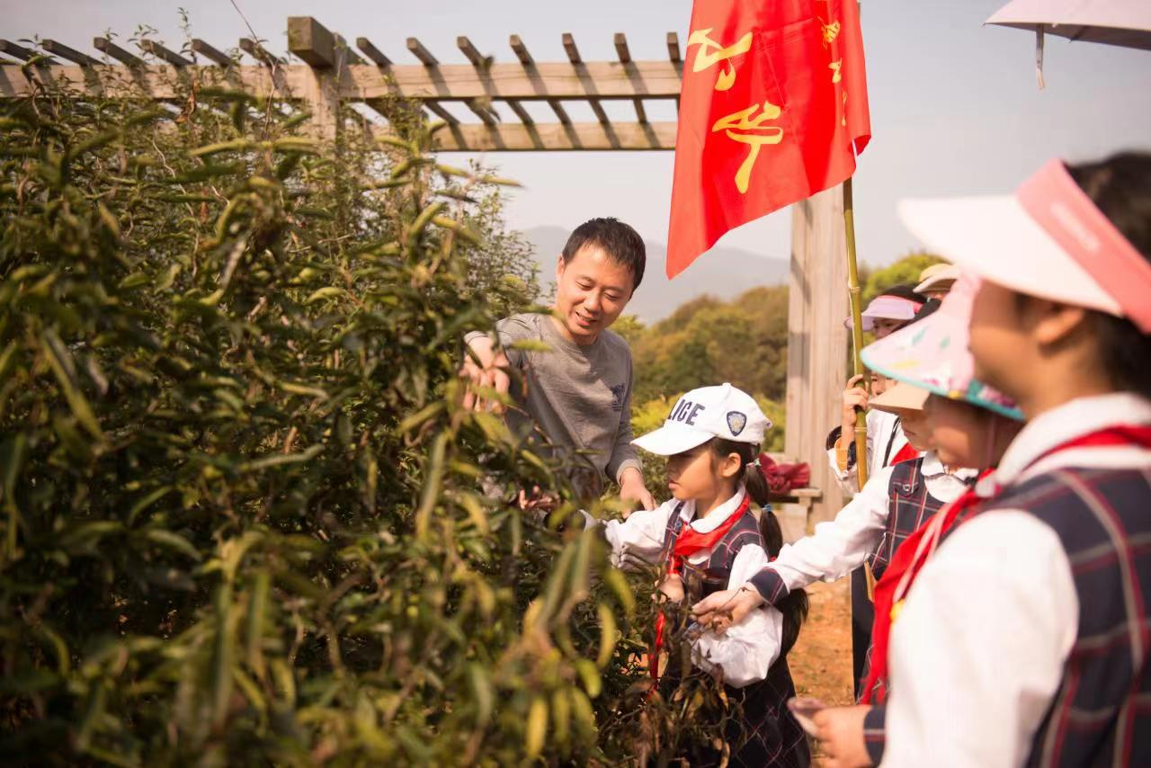 图片1.png