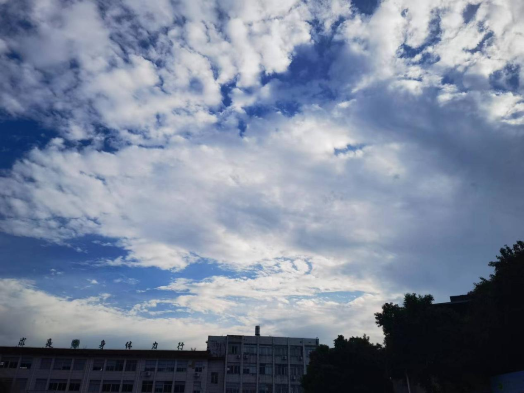 image009.png