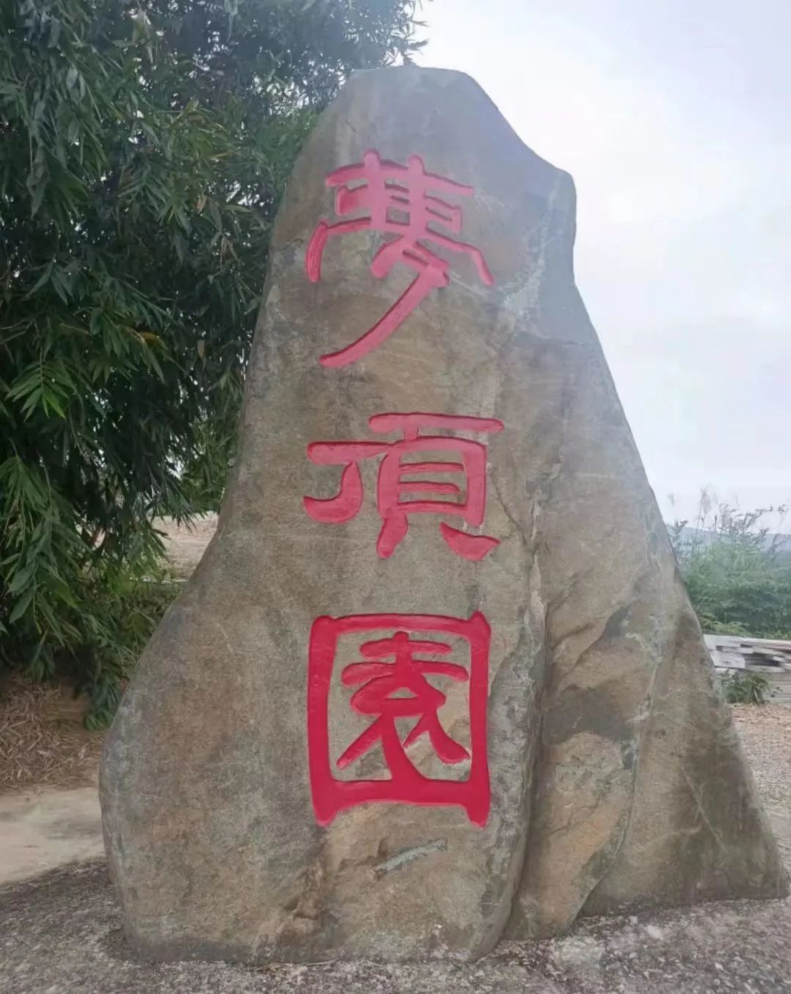 为深入学习习近平总书记关于网络强国的重要思想4098_副本.png