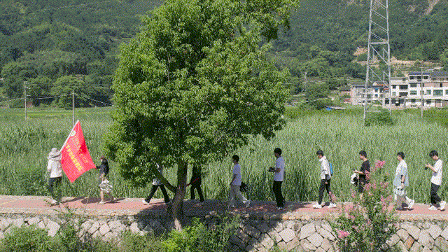 10.gif