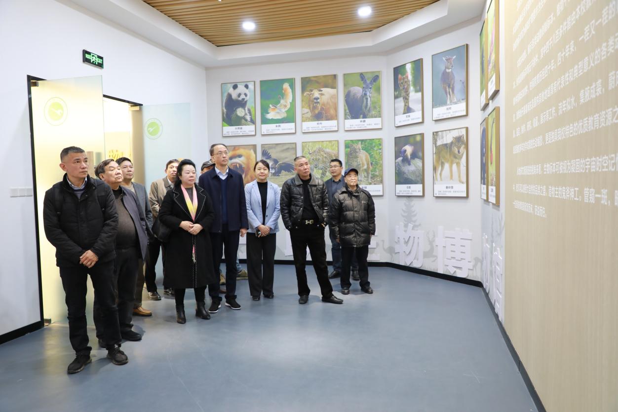 图片2.jpg 图片2.jpg