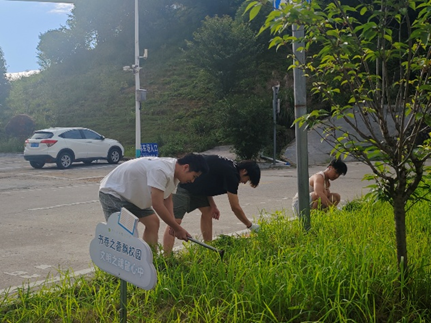 拔草2.png 拔草2.png